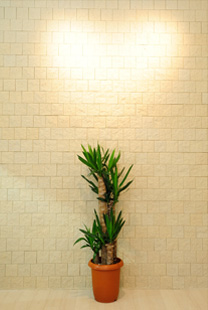 美容室ブローテ コンセプト